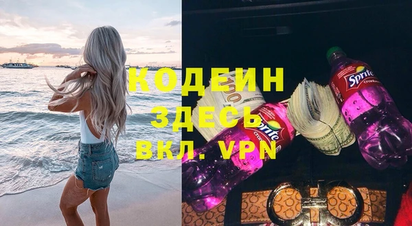 дурь Туринск